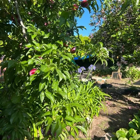 Daire Casa Pomegranates
